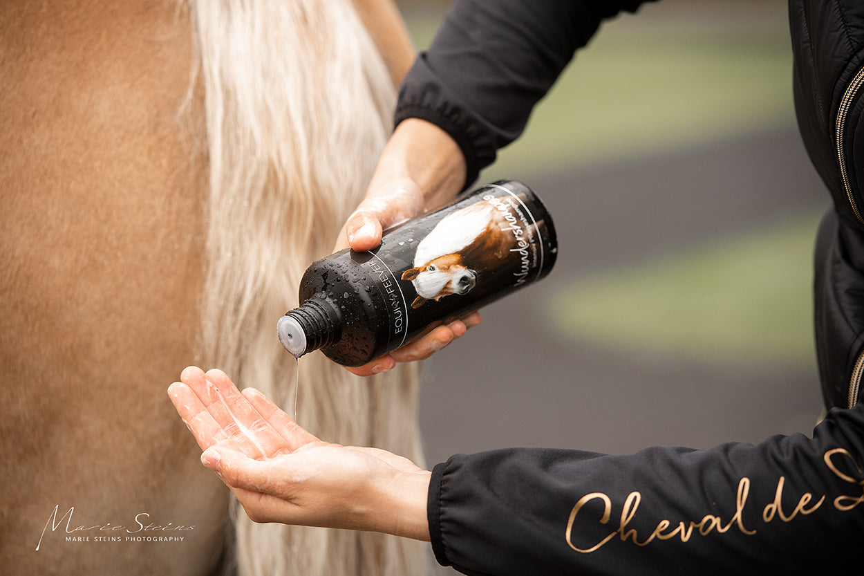 EQUIFEEVER XXL Bundle