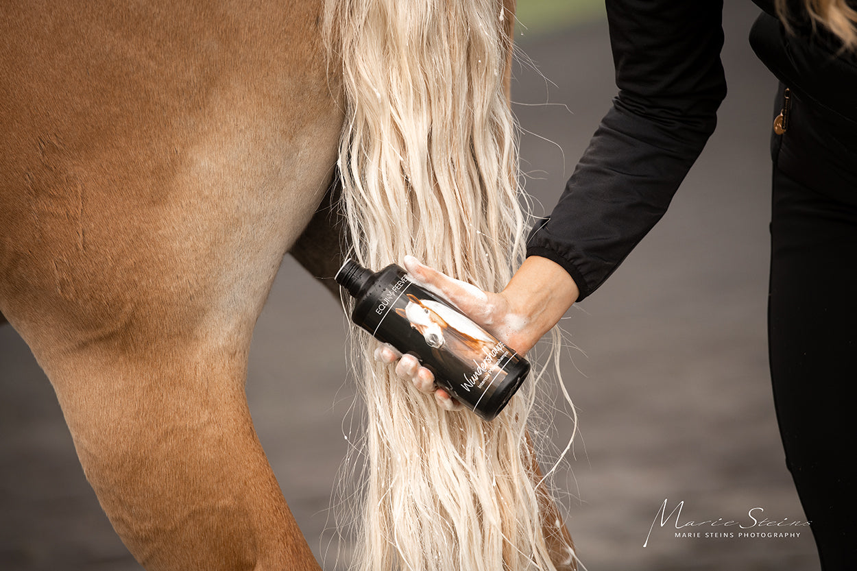 EQUIFEEVER Wundershampoo
